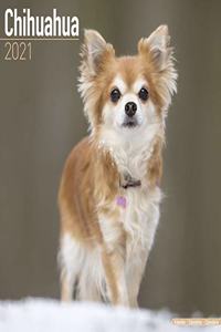 Chihuahua 2021 Wall Calendar