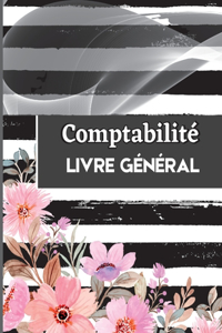 Livre de comptabilité