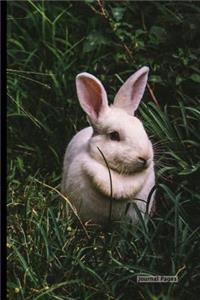 Journal Pages - Rabbit Run (Bullet Journal)