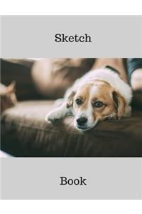 Sketch Book