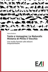 Testo E Immagine