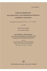 Gemischbildungs-, Selbstzündungs- Und Verbrennungsvorgänge Im Hinblick Auf Die Vorgänge Bei Gasturbinenbrennkammern