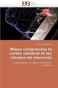 Mieux Comprendre Le Cortex Cérébral Et Les Réseaux de Neurones