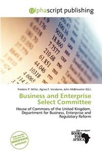 Business and Enterprise Select Committee