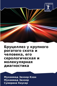 Бруцеллез у крупного рогатого скота и челl