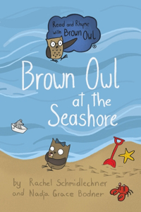 Brown Owl at the Seashore