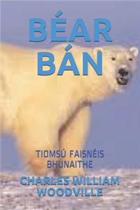 Béar Bán