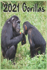 2021 Gorillas