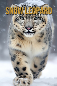 Snow Leopard