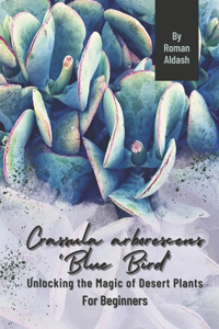 Crassula arborescens 'Blue Bird'