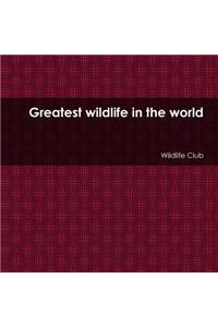 Greatest Wildlife in the World