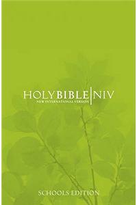 NIV Schools Bible