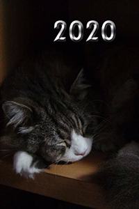 2020 Cat Journal