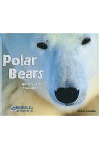 Polar Bears