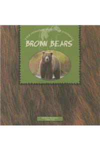 Brown Bears