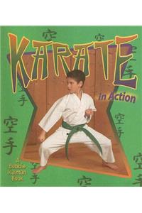 Karate in Action