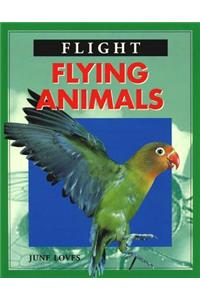 Flying Animals