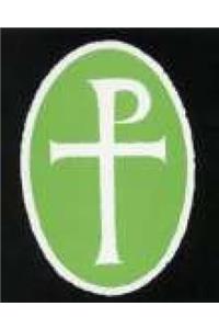 Arthurian Period Sources Vol 4 Places and Peoples, Saxon Archaeology