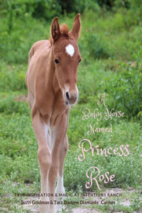 Baby Horse Named Princess Rose