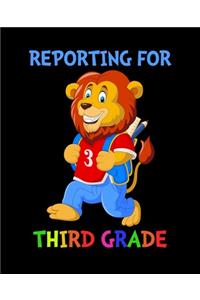 Reporting For 3rd Grade