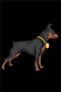 Dog Training Notebook