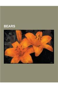 Bears: Brown Bear, Polar Bear, American Black Bear, Grizzly Bear, Asian Black Bear, Kodiak Bear, Sloth Bear, Bear Attack, Urs