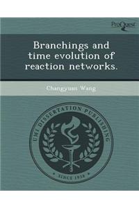 Branchings and Time Evolution of Reaction Networks