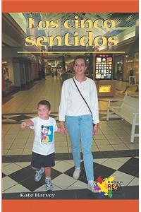 Cinco Sentidos