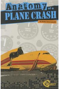 Anatomy of a Plane Crash