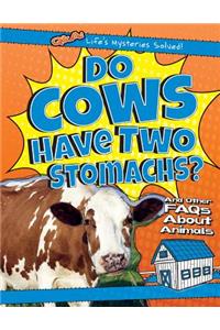 Do Cows Have Two Stomachs?