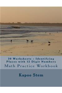 30 Worksheets - Identifying Places with 12 Digit Numbers