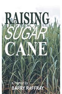 Raising Sugar Cane