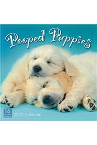 2020 Pooped Puppies 16-Month Wall Calendar