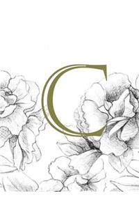 Journal Writing Ideas 