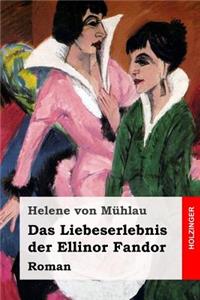 Das Liebeserlebnis der Ellinor Fandor