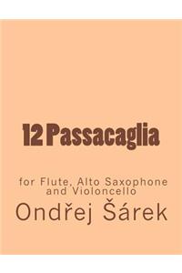12 Passacaglia for Flute, Alto Saxophone and Violoncello