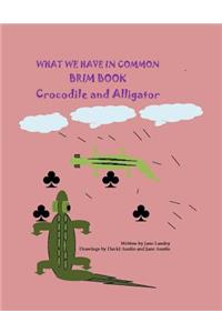 Crocodile and Alligator