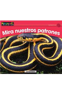 Mira Nuestros Patrones