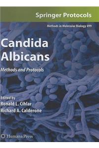 Candida Albicans