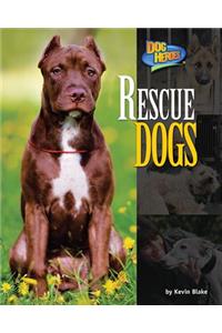 Rescue Dogs