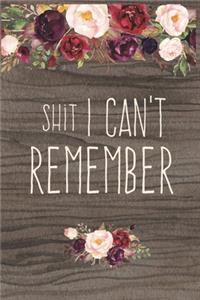 Shit I Can't Remember