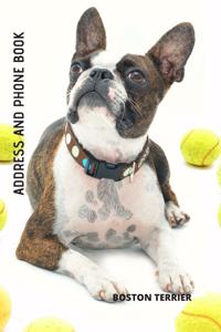 Address and Phone Book