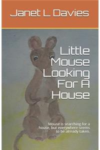 Little Mouse Looking For A House