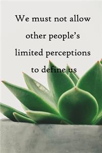 We must not allow other people's limited perceptions to define us