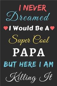 I Never Dreamed I Would Be A Super Cool Papa But Here I am Killing It