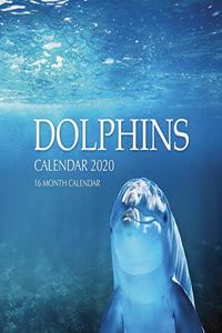 Dolphins Calendar 2020