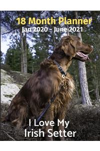 Jan 2020 - June 2021 18 Month Planner