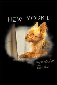 New Yorkie Yorkshire Terrier