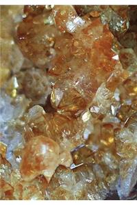 Yearless Weekly Planner - Citrine