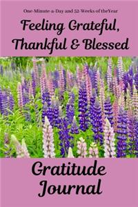 Feeling Grateful, Thankful & Blessed Gratitude Journal